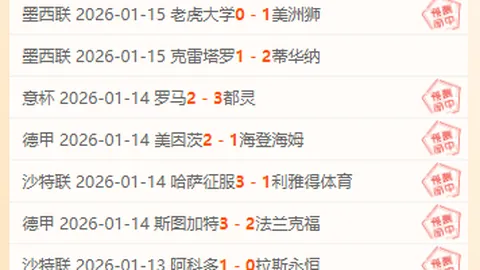 [德甲]内布尔边路精准射门 美因茨连获进球