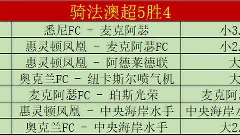 [德甲]格雷戈里神助攻，霍勒巧射破网