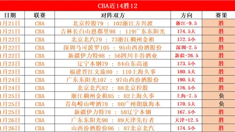 马雷斯卡：帕尔默缺席时，众目睽睽之下众人皆感其重要性